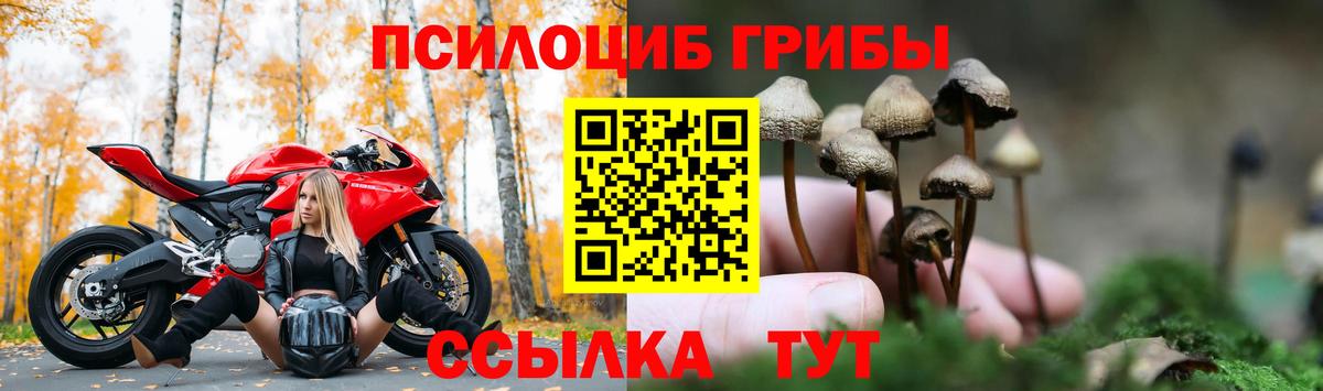 Лениногорск  Галлюциногенные грибы ЛСД  Галлюциногенные грибы прущие грибы  Вход с VPN 